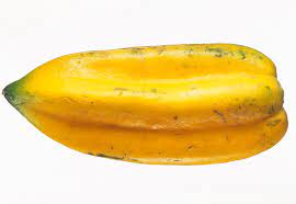 Babaco papaya Vasconcellea heilbornii seeds for tropical yard